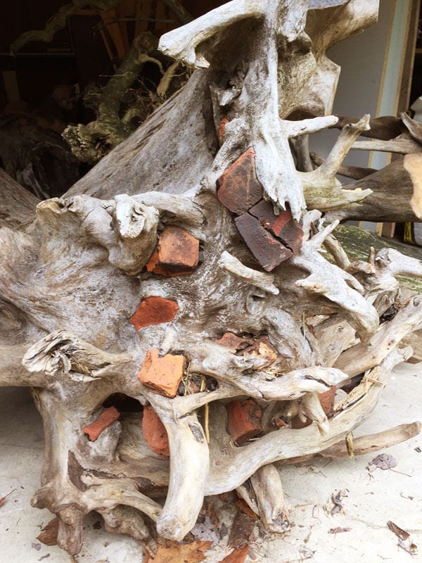 Driftwood from an ash tree that grew around bricks from Denning Point, in Beacon.