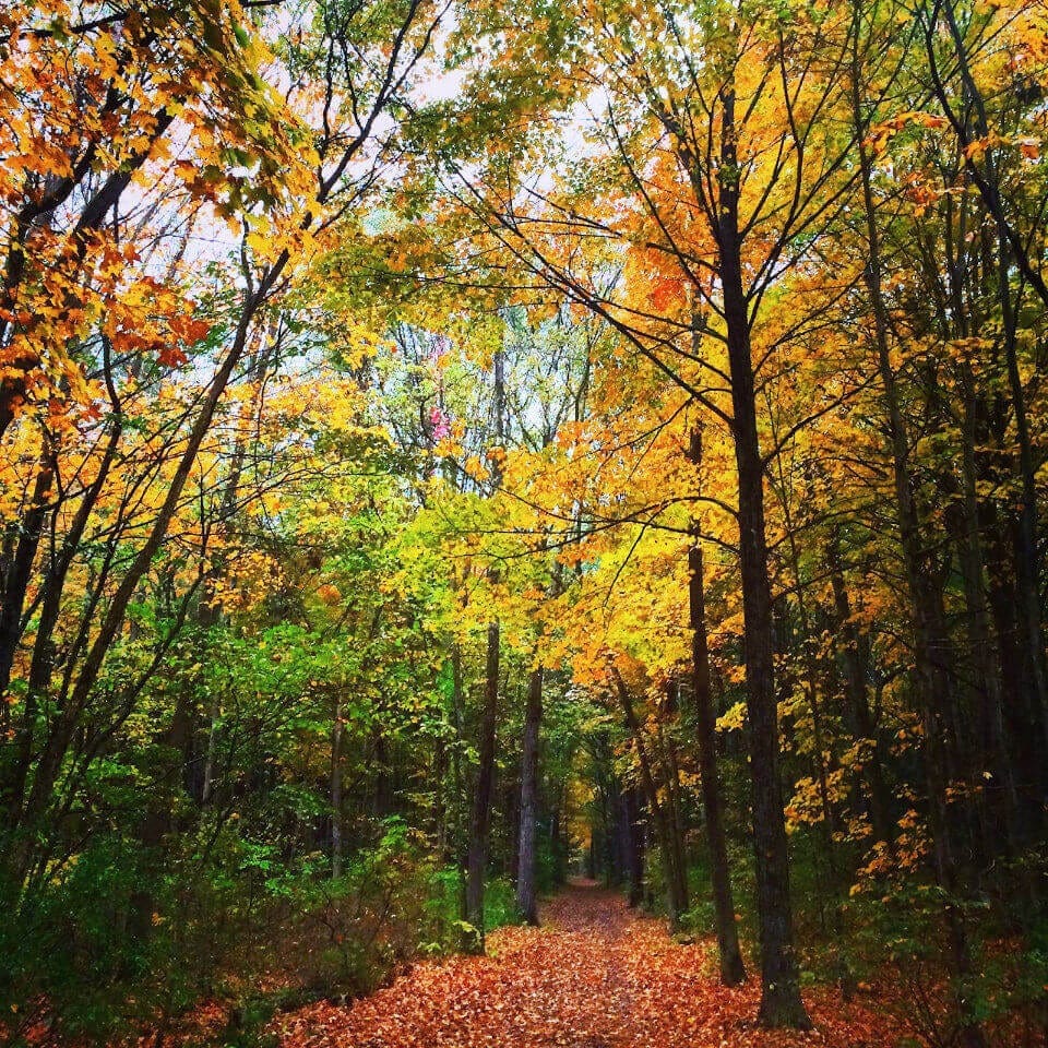 The Rail Trail in the Hudson Valley