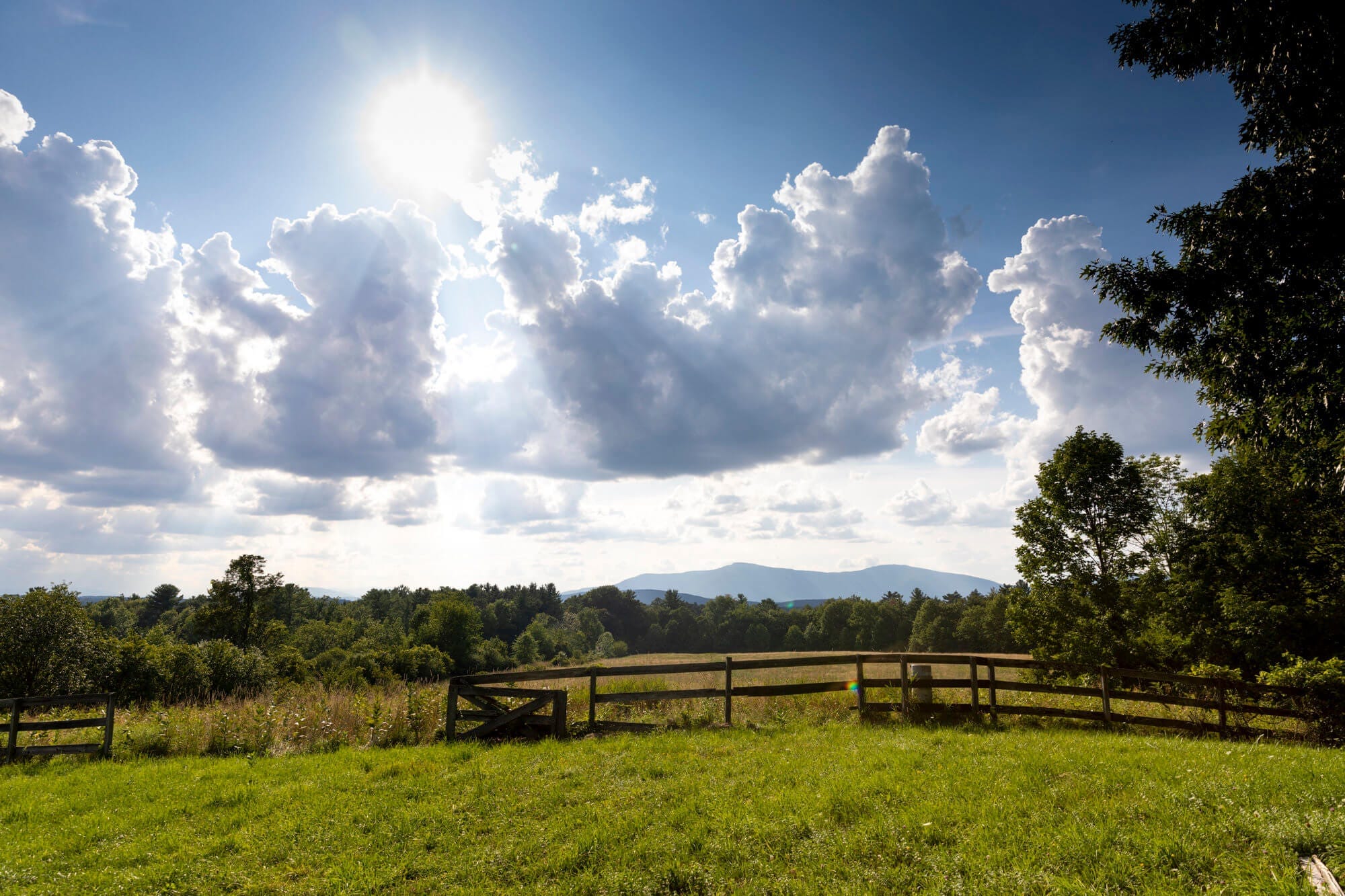 A field on Kaatsbaan’s property, looking over the river at the Catskills