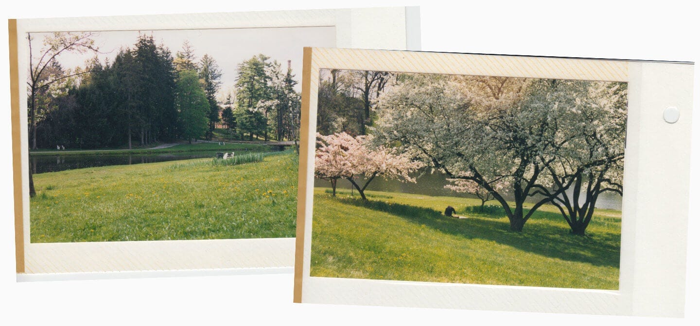 Photos of Sunset Hill at Vassar, taken by Tyler Walker’s wife when they were in college together.